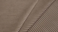 Cilium brown